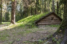 В Туле появится «Партизанская деревня»