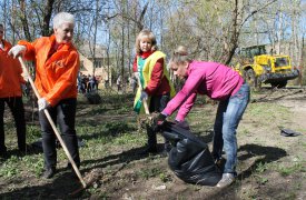 Тула станет участником всероссийского экологического субботника