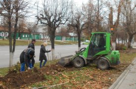 В тульском Заречье активно высаживают деревья