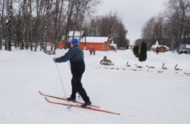 Где в Туле покататься на коньках и сколько стоит взять на прокат лыжи?