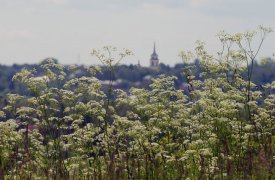 В Туле откроется фотовыставка Игоря Щербакова «Моя ПреКрасная книга»