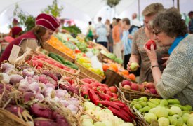 В Туле начнет работу сельскохозяйственная ярмарка