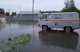 Все насмарку: в Тульской области жители села Дедилово остались без урожая из-за дождевого потопа