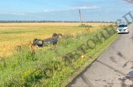 ДТП с «первертышем» в Ефремовском районе Тульской области вылилось для водителя больницей