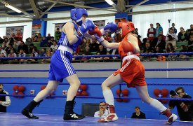 Боксеры из Тулы отстояли честь региона на турнире  класса «А»