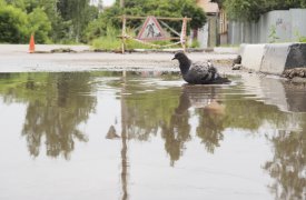 В Зареченском районе Тулы - потоп